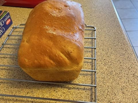 Freshly baked sandwich bread